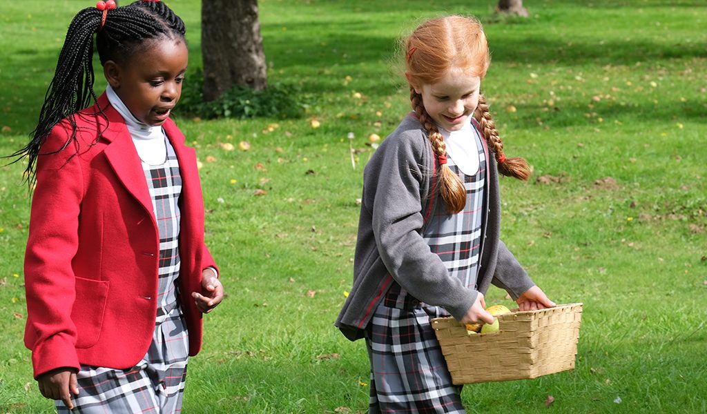 Orchard FRUIT PICKING