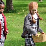 Orchard FRUIT PICKING