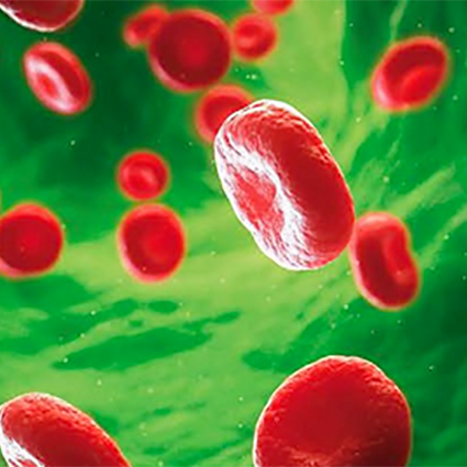 Biology RED BLOD CELLS