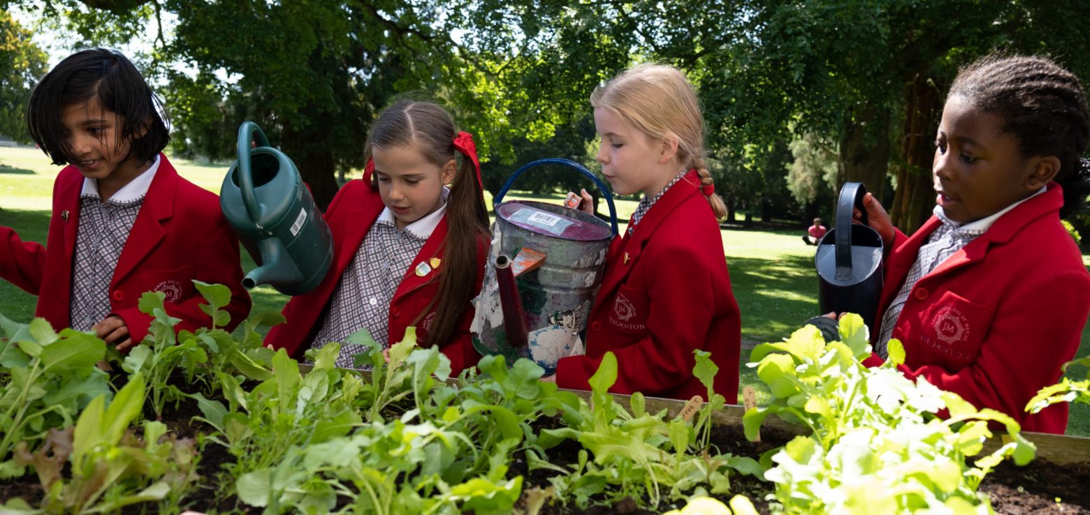 Watering the plants