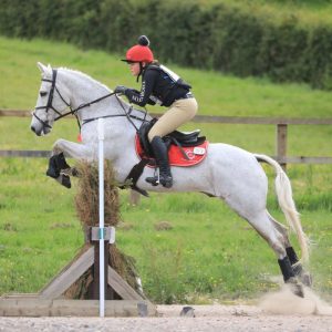 horse jumping with a rider